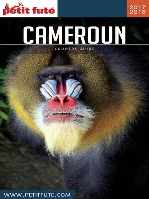 cover image of CAMEROUN 2018/2019 Petit Futé
